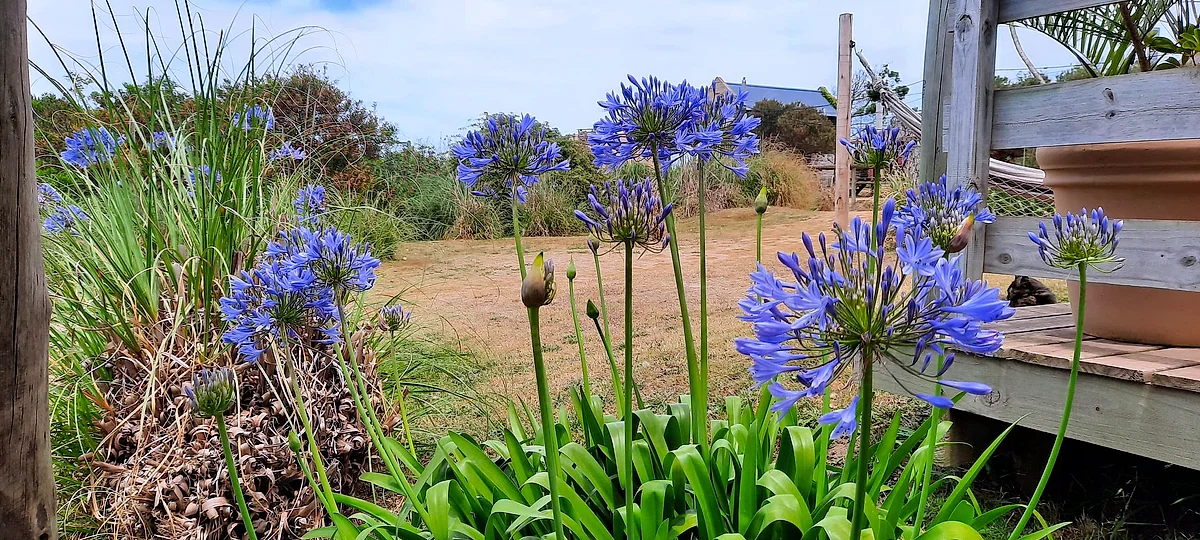 Dejeps, cabaña en Punta del Diablo (foto 14)