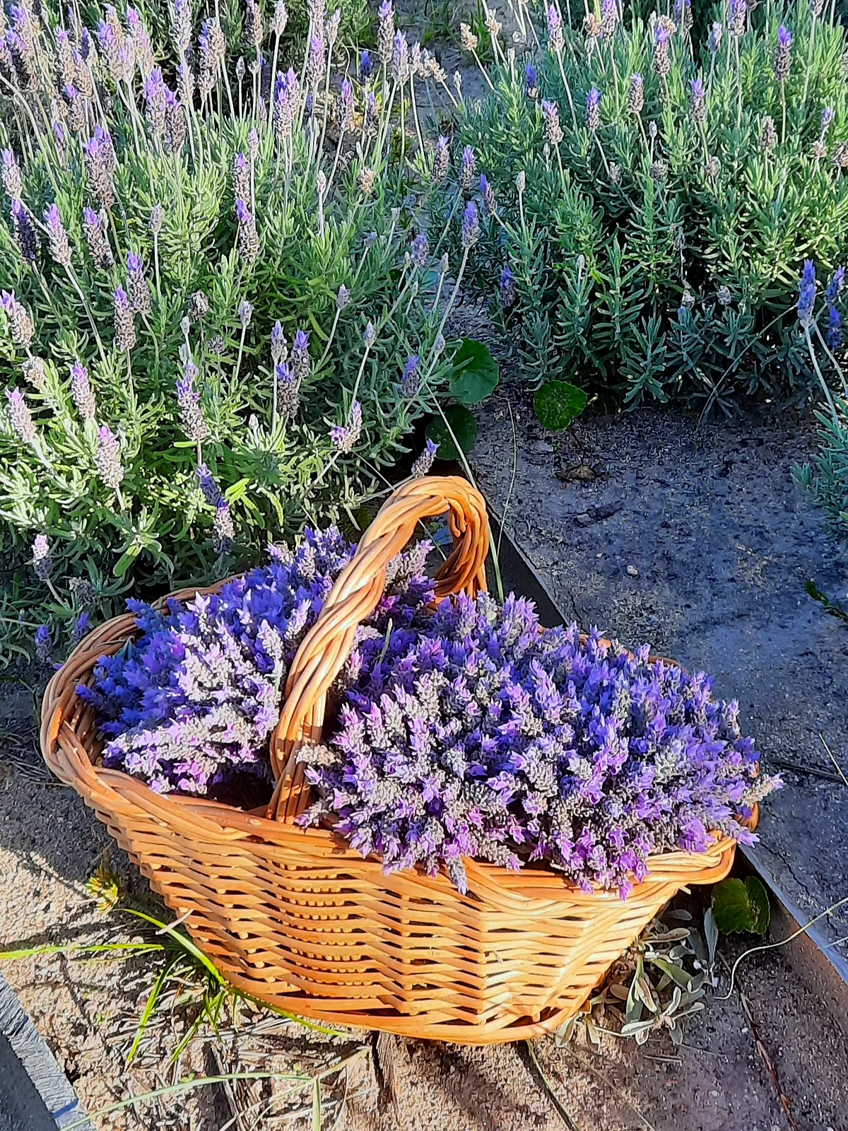Deja que los colores de la naturaleza y sus materiales entren en casa.