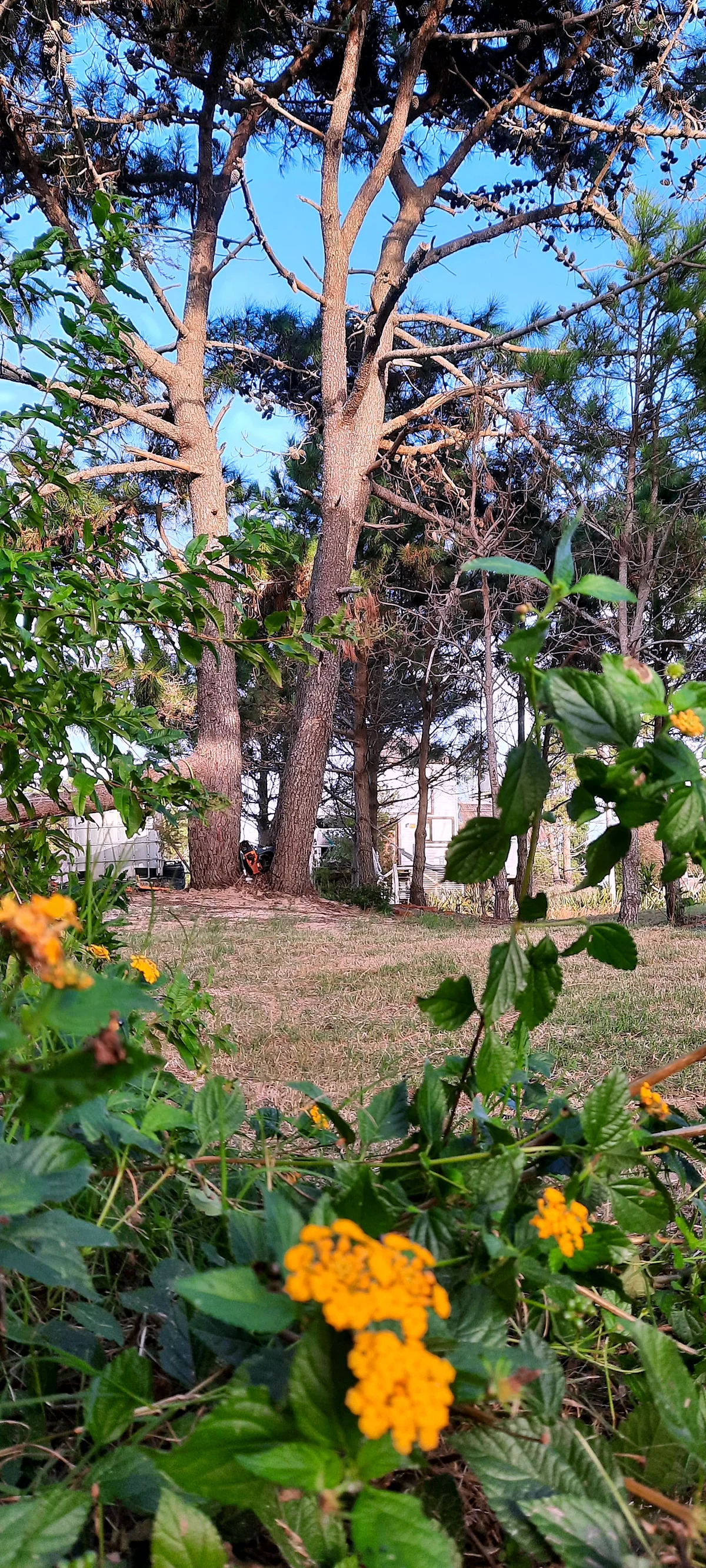 Villa del Sol, cabaña en Punta del Diablo (foto 25)